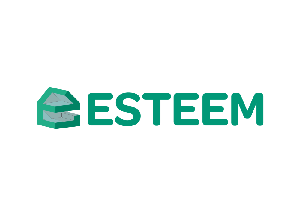 The Beginning of ESTEEM